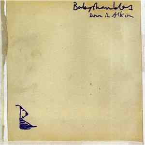FLAC Babyshambles - Down In Albion