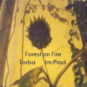 FLAC Forest On Fire vs Torba vs Im:Prod - Split