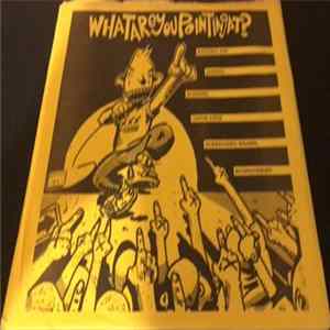 FLAC Various - What Are You Pointing At?