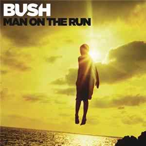 FLAC Bush - Man On The Run