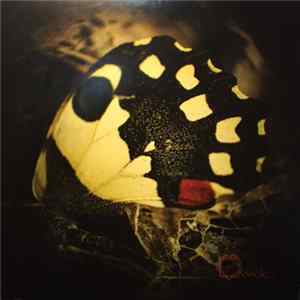 FLAC Ossicles - Music For Wastelands