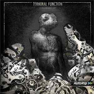 FLAC Terminal Function - Clockwork Sky