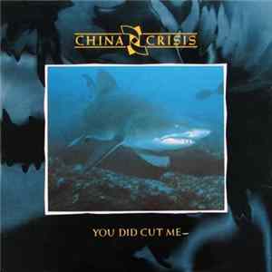 FLAC China Crisis - You Did Cut Me