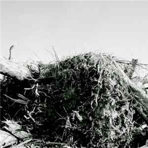 FLAC Josh Lay - Heirophant