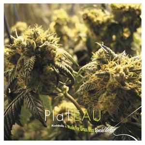 FLAC Plateau - Kushbush + Music For Grass Bars