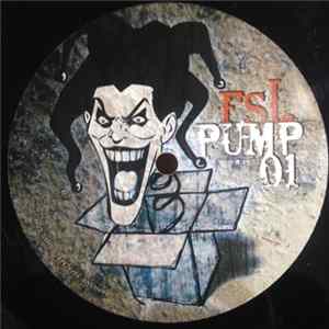 FLAC Labo 14 - FSL Pump 01