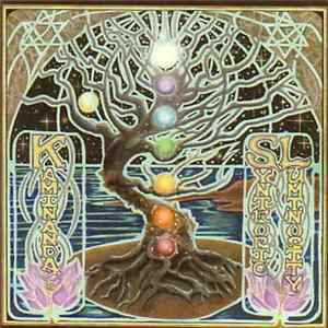 FLAC Kaminanda - Syntropic Luminosity
