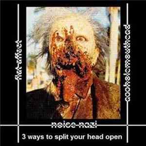 FLAC Flat Affect / Noise Nazi / Assholemouthead - 3 Ways To Split Your Head Open