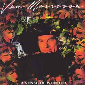 FLAC Van Morrison - A Sense Of Wonder