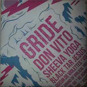 FLAC Various - Noise Party Vol. V