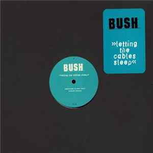 FLAC Bush - Letting The Cables Sleep