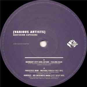 FLAC Various - Northern Exposure