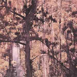 FLAC Holy Ghost Party - Bayou Music