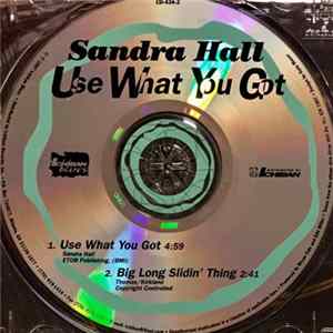 FLAC Sandra Hall - Use What You Got