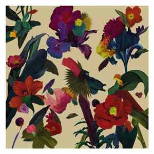 FLAC Washed Out - Paracosm