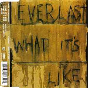 FLAC Everlast - What It's Like