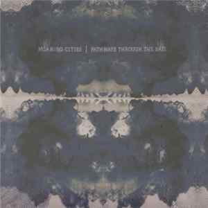 FLAC Moaning Cities - Pathways Through The Sail