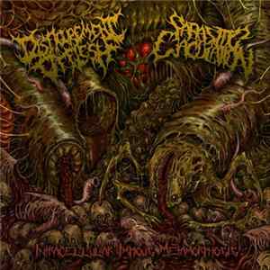 FLAC Disfigurement Of Flesh, Parasitic Ejaculation - Intracellular Impious Metamorphosis