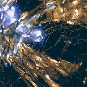 FLAC Proyecto Mental - Feath/Sleppy Nights