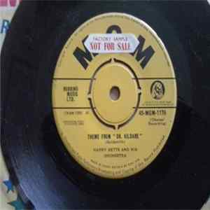FLAC Harry Betts & His Orchestra - theme From "Dr. Kildare"