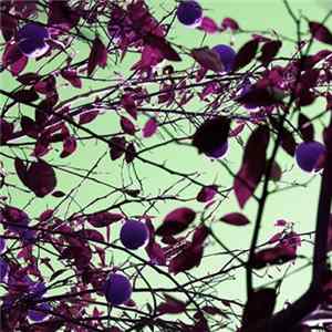 FLAC Anarom - Natural Flavors