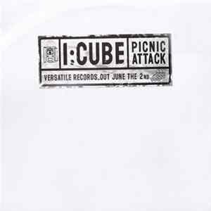 FLAC I:Cube - Picnic Attack