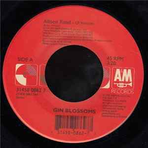 FLAC Gin Blossoms - Allison Road