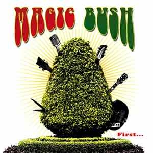 FLAC Magic Bush - First...