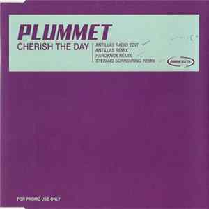 FLAC Plummet - Cherish The Day