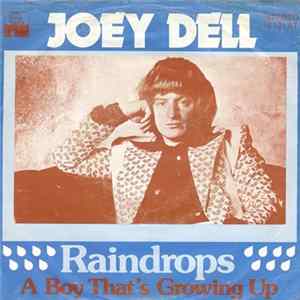 FLAC Joey Dell - Raindrops