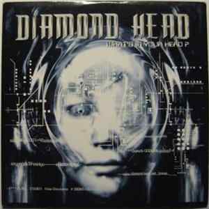 FLAC Diamond Head - What's In Your Head?