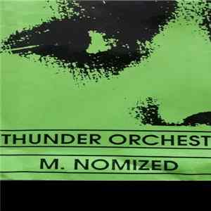 FLAC A Thunder Orchestra, M.NOMIZED - Symbiosis