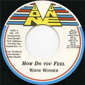 FLAC Wayne Wonder - How Do You Feel