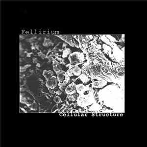 FLAC Fellirium - Cellular Structure