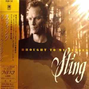 FLAC Sting - I Was Brought To My Senses