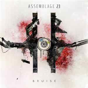 FLAC Assemblage 23 - Bruise