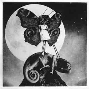 FLAC The Exaltics - The Girl And The Chameleon