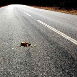 FLAC OCP - Rejects