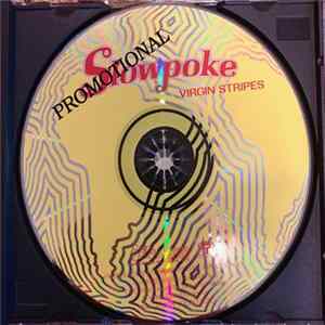 FLAC Slowpoke - Virgin Stripes