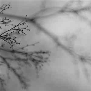 FLAC Dakota Suite, Dag Rosenqvist, Emanuele Errante - What Matters Most