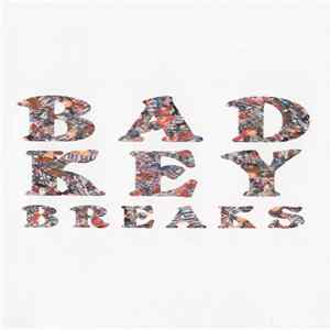 FLAC The Heavy Twelves - Bad Key Breaks