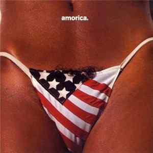 FLAC The Black Crowes - Amorica