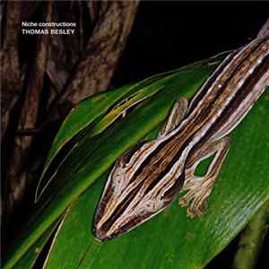 FLAC Thomas Besley - Niche Constructions