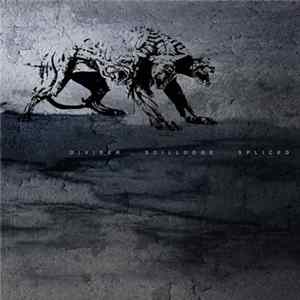 FLAC Divider & Soillodge - Spliced