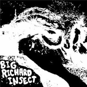 FLAC Big Richard Insect - Big Richard Insect