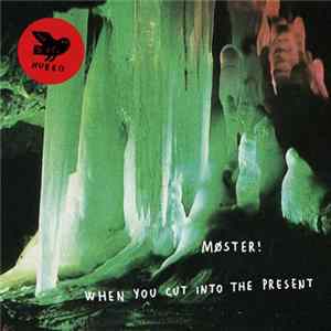 FLAC Møster! - When You Cut Into The Present
