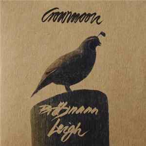 FLAC Brötzmann / Leigh - Crowmoon