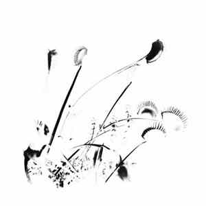FLAC Self-Inflicted Violence - A Perception Of Matter And Energy