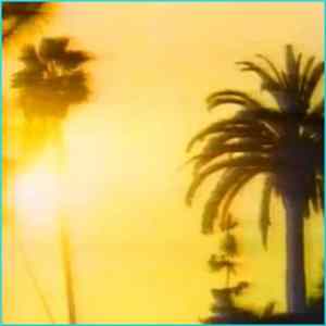 FLAC Miami Vice - Culture Island