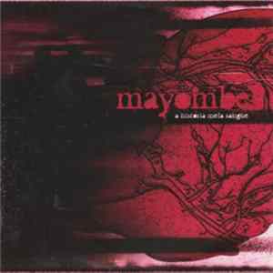 FLAC Mayombe - A História Mela Sangue